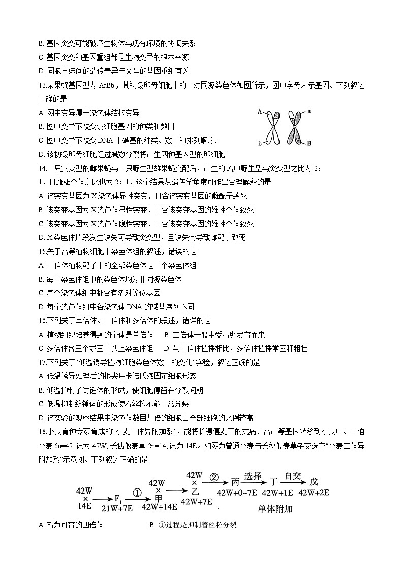 安徽省马鞍山市第二中学2022--2023学年高二上学期10月份素质测试生物试题03