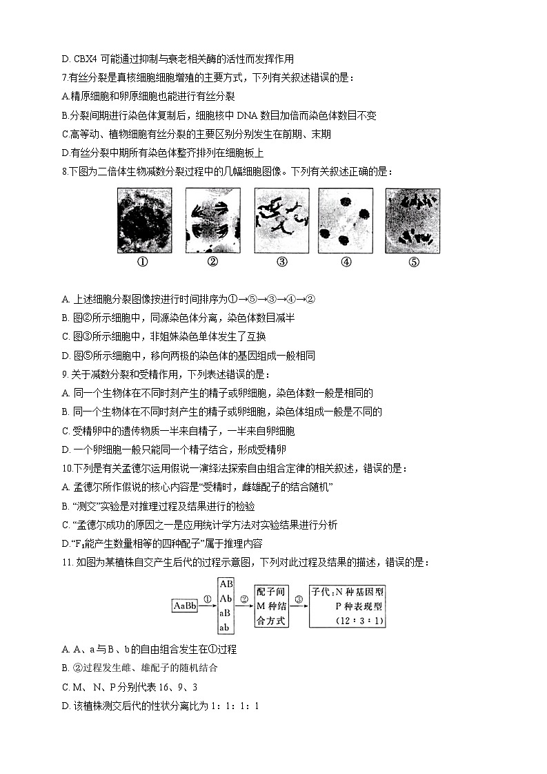 安徽省马鞍山市第二中学2022—2023学年高二上学期开学素质测试生物试题02