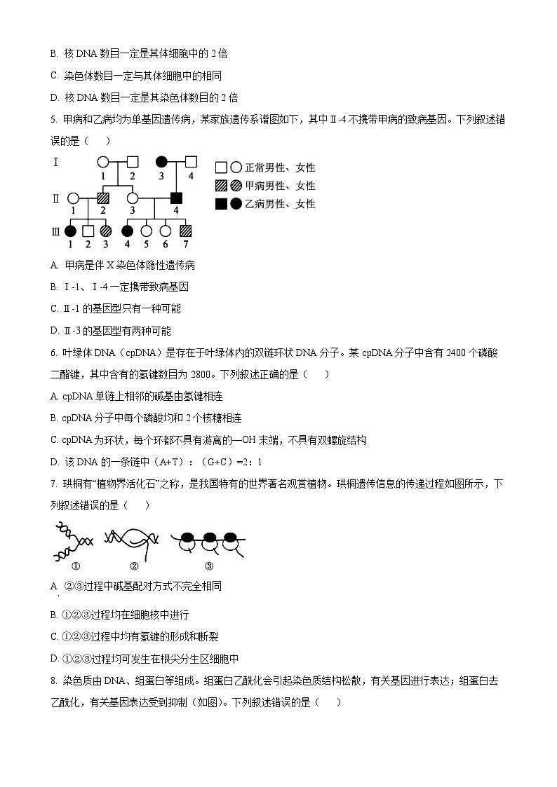 辽宁省部分高中2024-2025学年高二上学期9月开学联合考试生物试题(Word版附答案)第2页