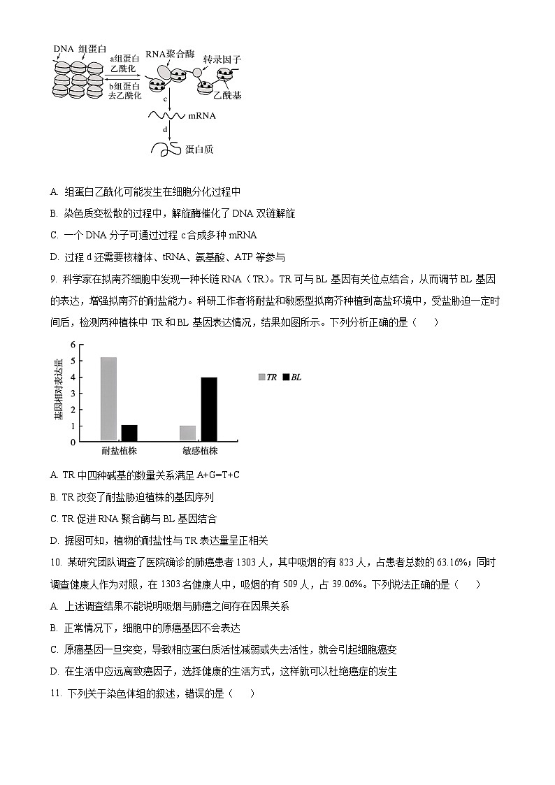 辽宁省部分高中2024-2025学年高二上学期9月开学联合考试生物试题(Word版附答案)第3页