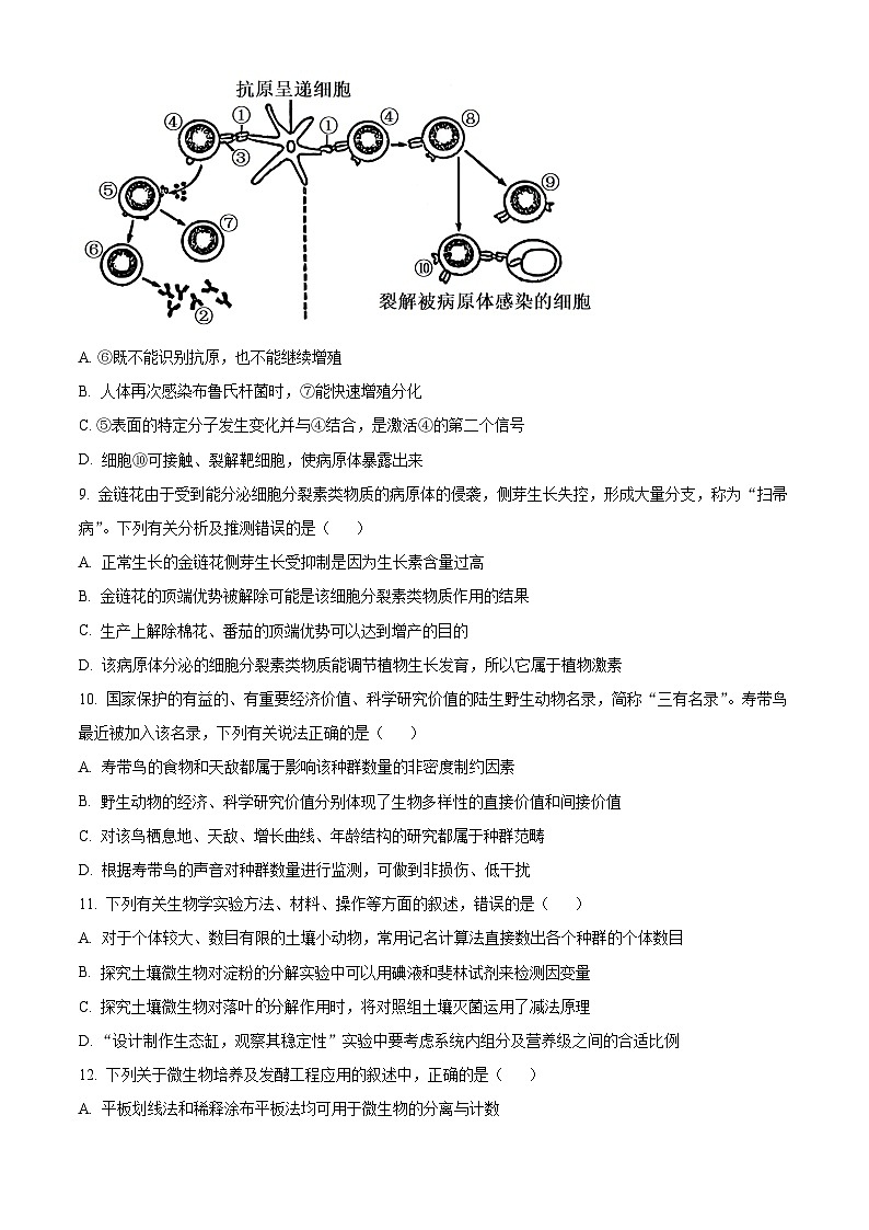河北省邯郸市魏县2024-2025学年高三上学期开学生物试题(原卷版)第3页
