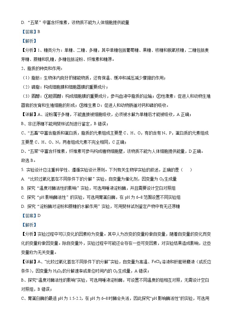 广东省汕头市潮阳区汕头市潮阳一中明光学校2024-2025学年高三上学期9月月考生物试题(原卷版+解析版)03
