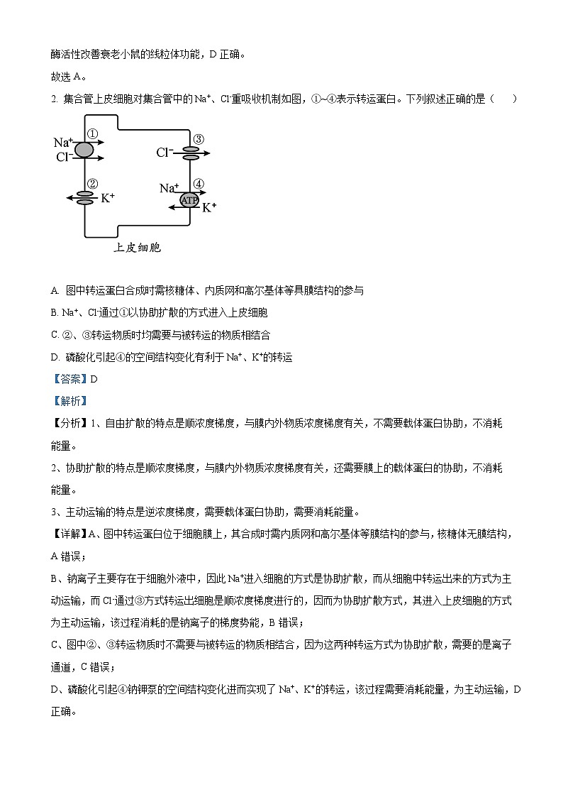 天津市崇化中学2024-2025学年高三上学期开学测试生物试卷(解析版)02