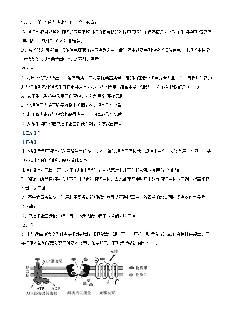 湖北省武漢市九調(diào)2024-2025學(xué)年高三上學(xué)期開學(xué)生物試題（解析版）第2頁