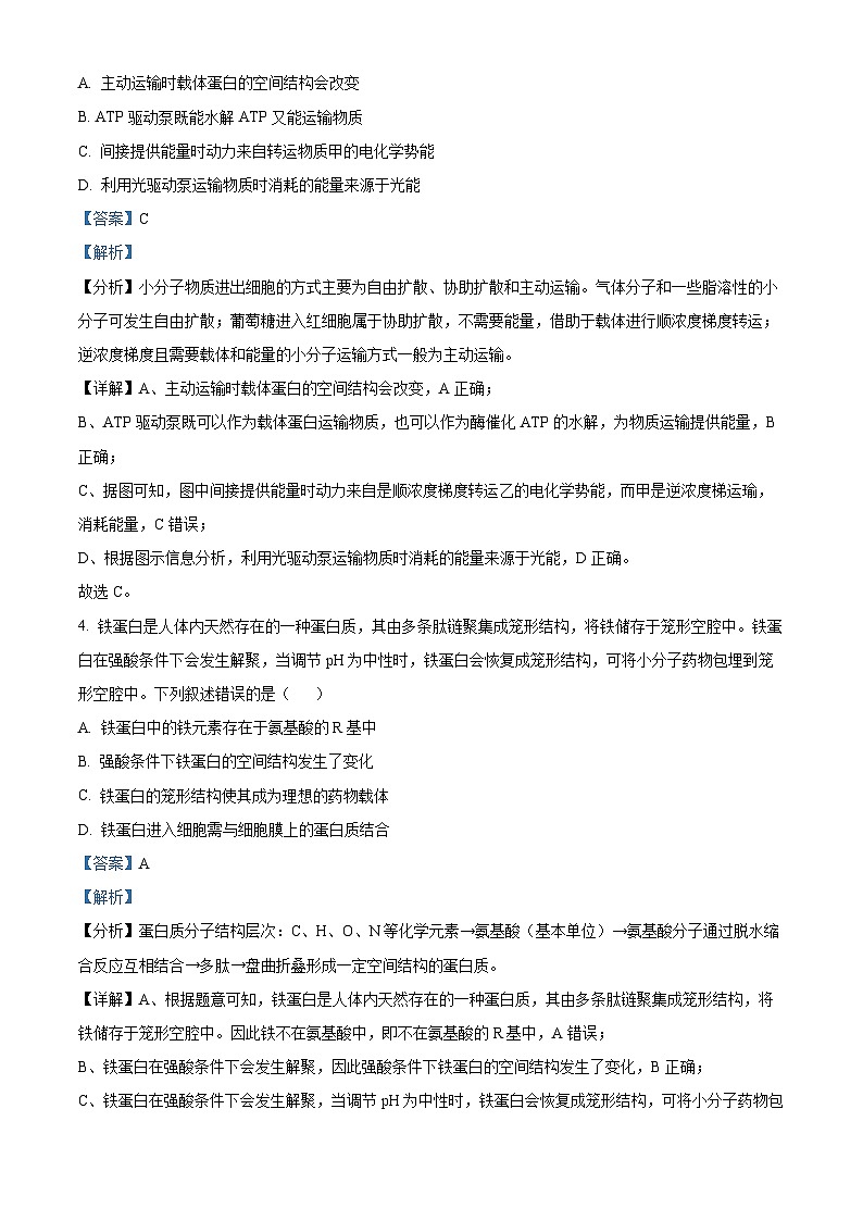 湖北省武漢市九調(diào)2024-2025學(xué)年高三上學(xué)期開學(xué)生物試題（解析版）第3頁