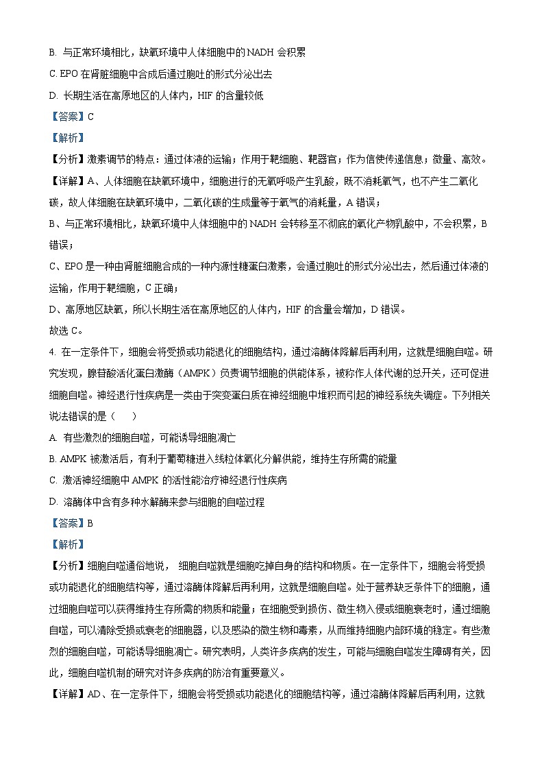 山东省烟台市招远市第二中学2025届高三摸底联考生物试题(解析版)第3页