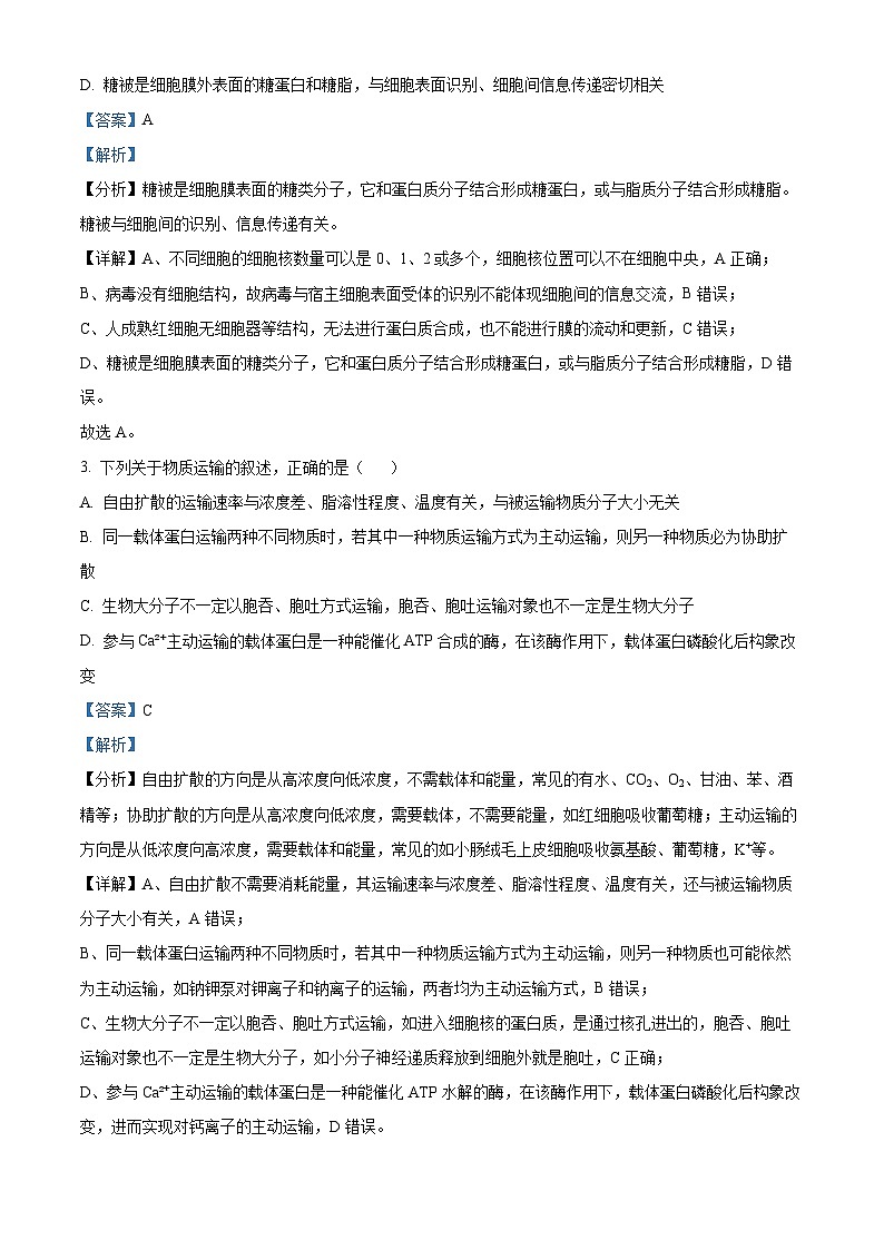 河北省邯郸市魏县2024-2025学年高三上学期开学生物试题(解析版)02