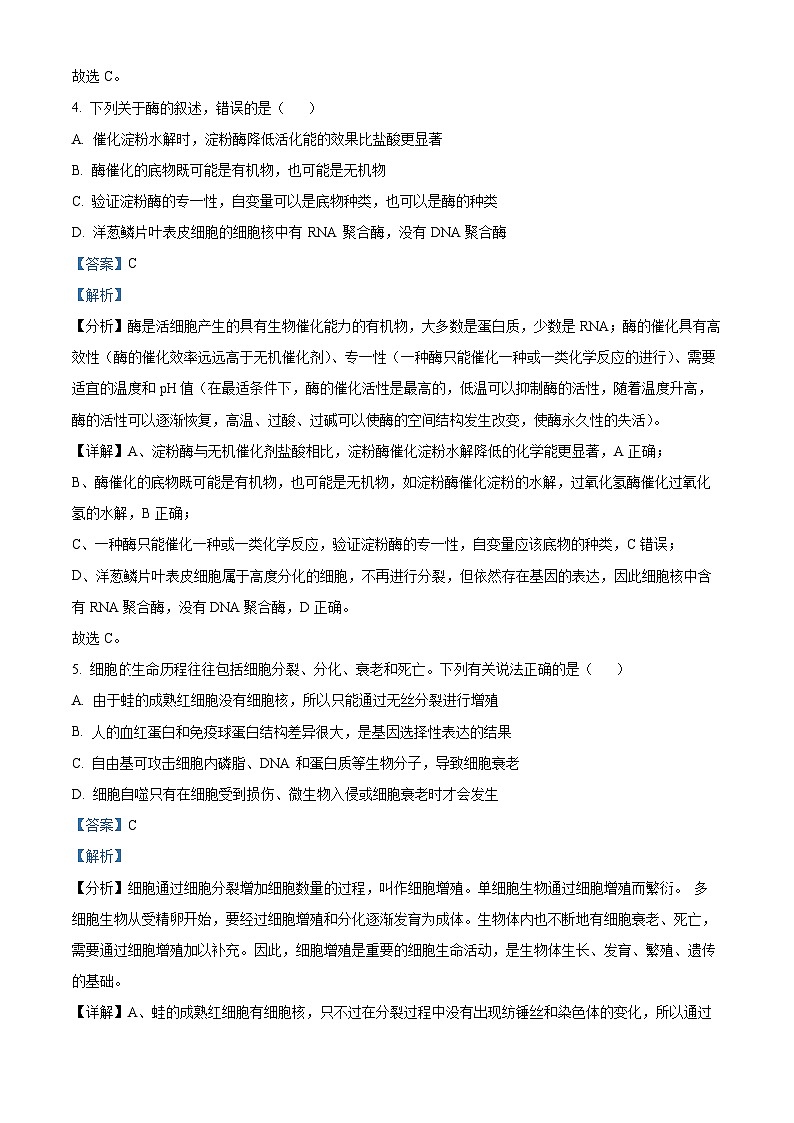 河北省邯郸市魏县2024-2025学年高三上学期开学生物试题(解析版)03