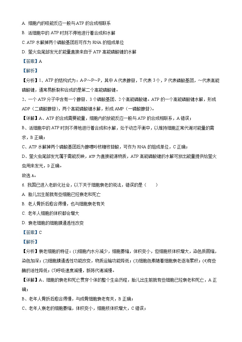 河北省沧州市献县实验中学2024-2025学年高二上学期开学考试生物试题(解析版)03