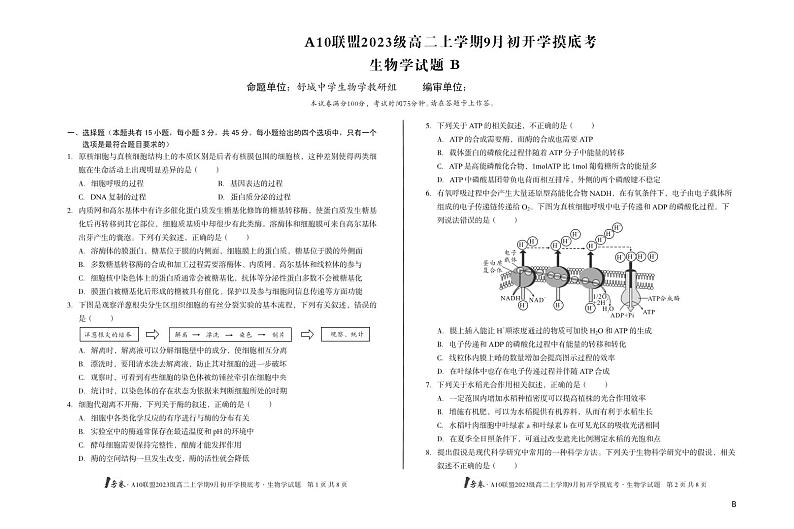 安徽省A10联盟2024-2025学年高二上学期9月初开学摸底考生物学(B卷)试题第1页