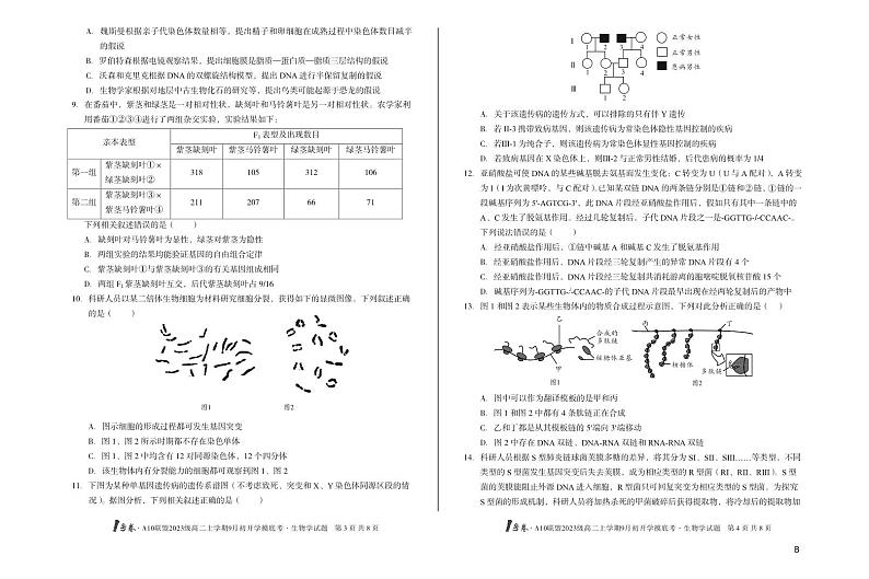 安徽省A10联盟2024-2025学年高二上学期9月初开学摸底考生物学(B卷)试题第2页