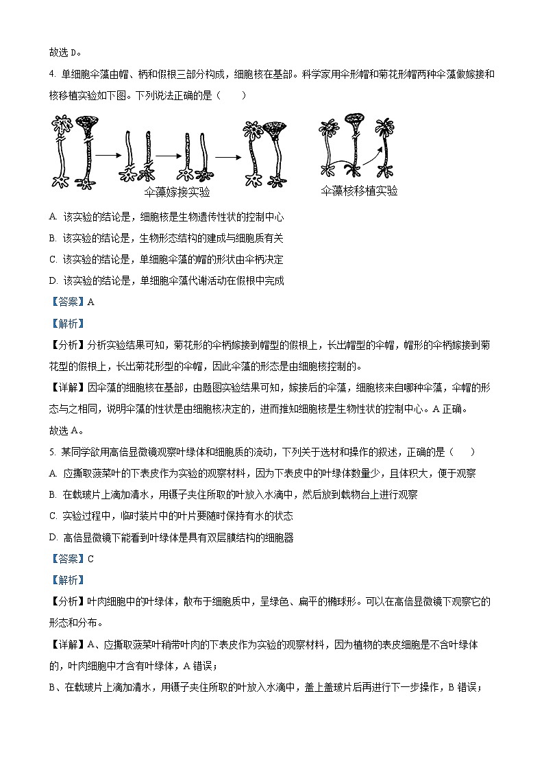 宁夏西吉中学2024-2025年高二上学期开学考试生物试题(解析版)第3页