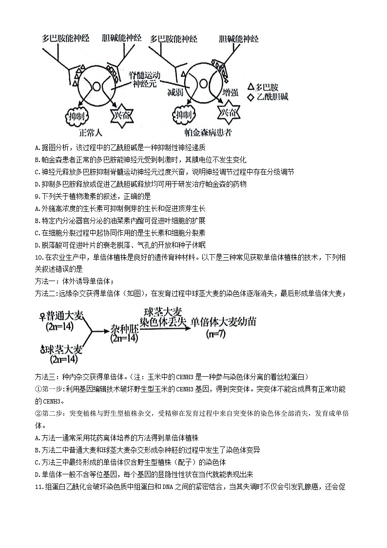 安徽省县中联盟2024-2025学年高三上学期9月开学联考生物试题(无答案)03