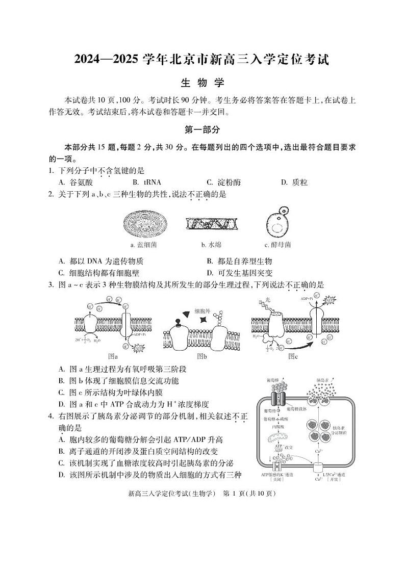 北京市2024-2025学年高三上学期入学定位考试生物试题第1页