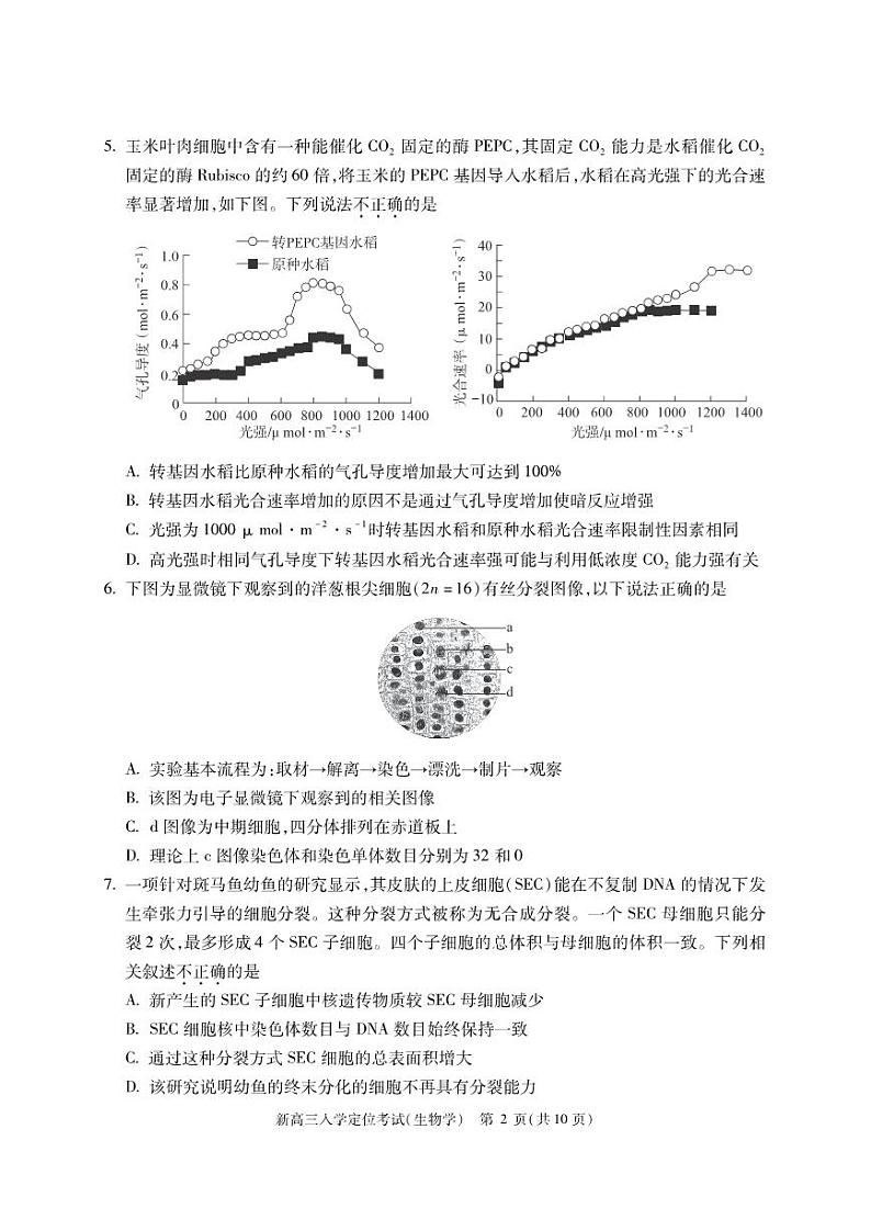 北京市2024-2025学年高三上学期入学定位考试生物试题第2页