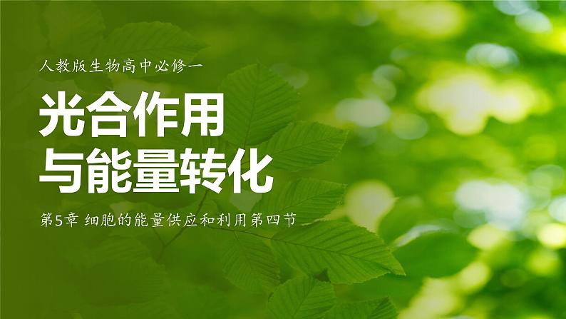 人教版生物高中必修一第5章 细胞的能量供应和利用第四节光合作用与能量转化 课件第1页