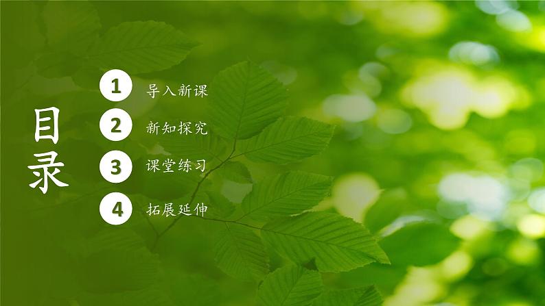人教版生物高中必修一第5章 细胞的能量供应和利用第四节光合作用与能量转化 课件第2页
