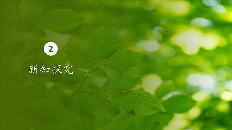 人教版生物高中必修一第5章 细胞的能量供应和利用第四节光合作用与能量转化 课件第5页