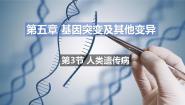 人教版 (新课标)必修2《遗传与进化》第3节 人类遗传病教课内容课件ppt