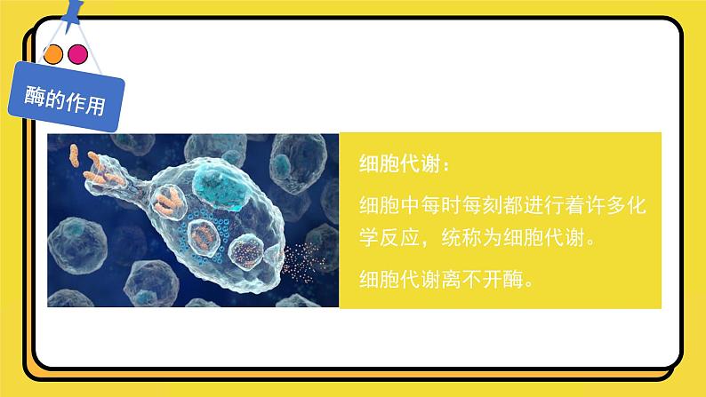 人教版高中生物必修一课件第5章 第1节5.1.1 酶的作用和本质 课件07