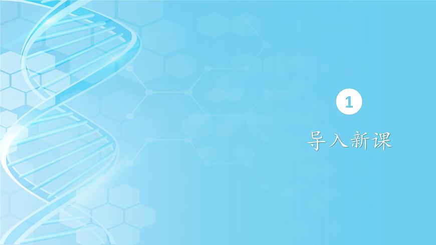 人教版生物高中必修一第5章 細(xì)胞的能量供應(yīng)和利用 降低化學(xué)反應(yīng)活化能的酶第一節(jié)第一課時酶的作用和本質(zhì) 課件第3頁