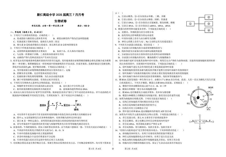 江西省南昌市聚仁高级中学2024-2025学年高三上学期七月月考生物试题01