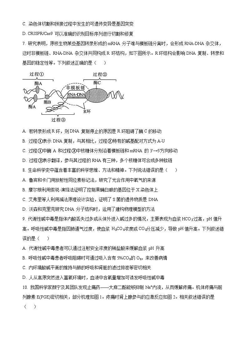 湖北省“宜荆荆恩”2024-2025学年高三上学期9月起点考试生物试卷(原卷版)第3页