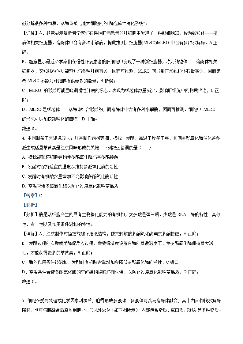 2025届四川省成都市实验外国语学校高三零模考试生物试题 Word版含解析第3页