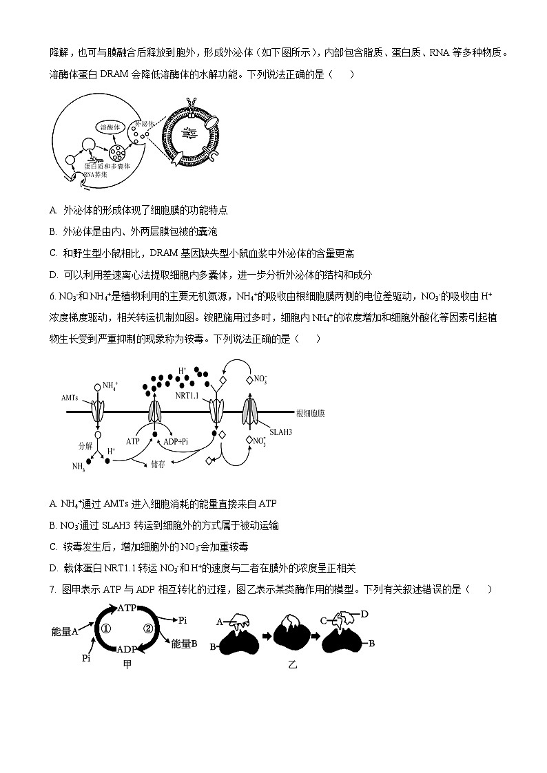 2025届四川省成都市实验外国语学校高三零模考试生物试题 Word版无答案第2页