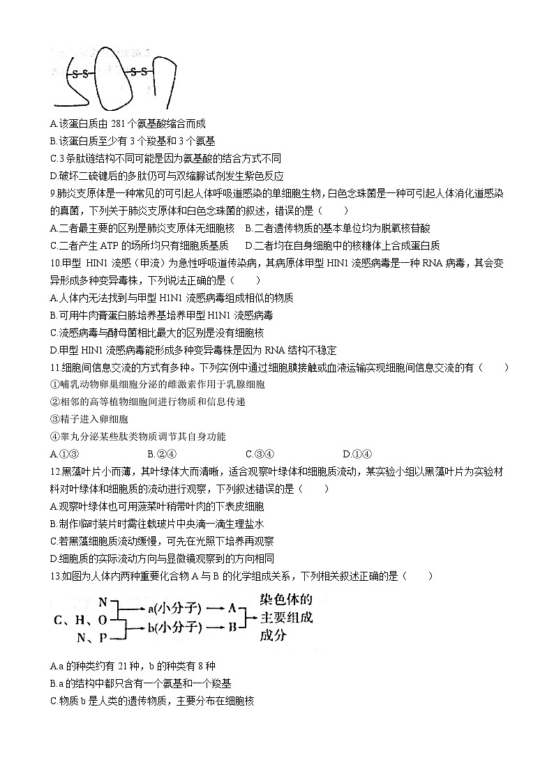 山西省孝義中學(xué)校2024-2025學(xué)年高三上學(xué)期學(xué)業(yè)水平質(zhì)量檢測 1生物試題(無答案)第3頁