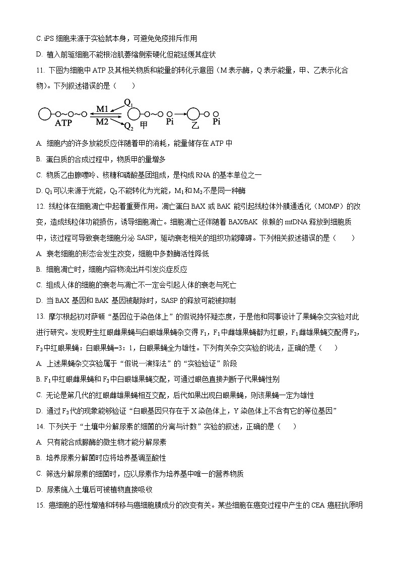 四川省泸州市泸县第五中学2024-2025学年高三上学期开学考试生物试卷(Word版附解析)03