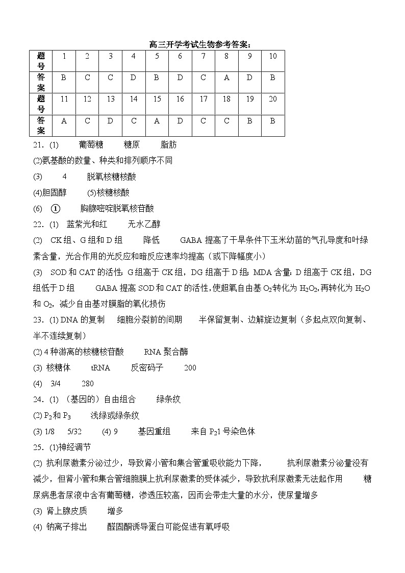 四川省泸州市叙永县第一中学2024-2025学年高三上学期开学考试生物试卷(Word版附答案)01