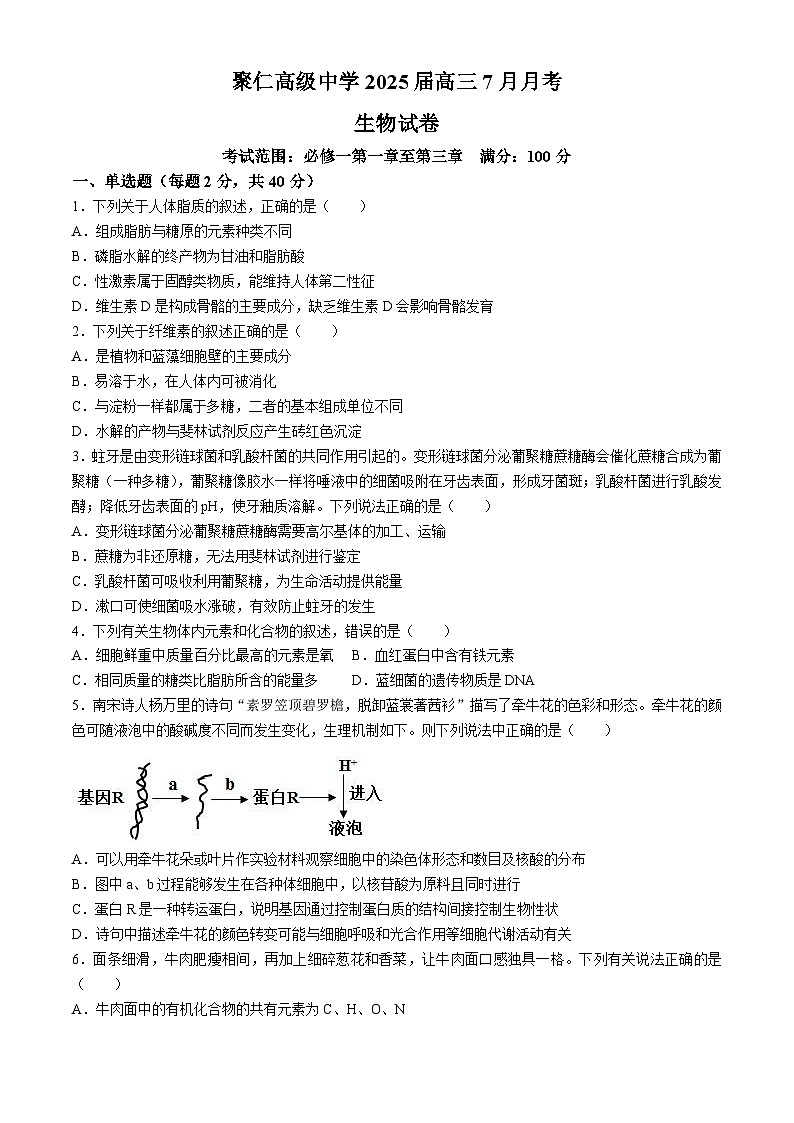 江西省南昌市聚仁高级中学2024-2025学年高三上学期七月月考生物试题(无答案)01