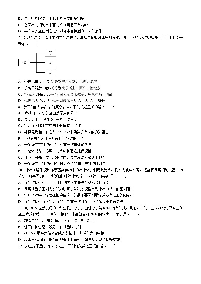 江西省南昌市聚仁高级中学2024-2025学年高三上学期七月月考生物试题(无答案)02