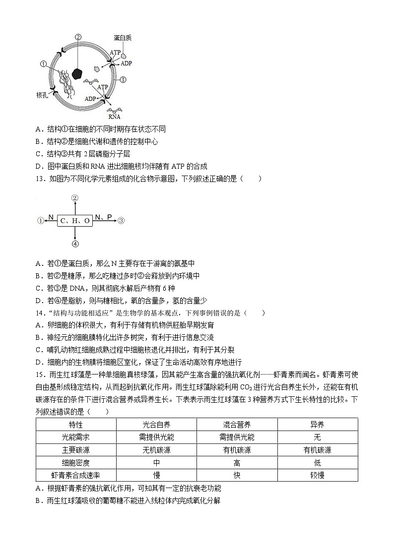 江西省南昌市聚仁高级中学2024-2025学年高三上学期七月月考生物试题(无答案)03