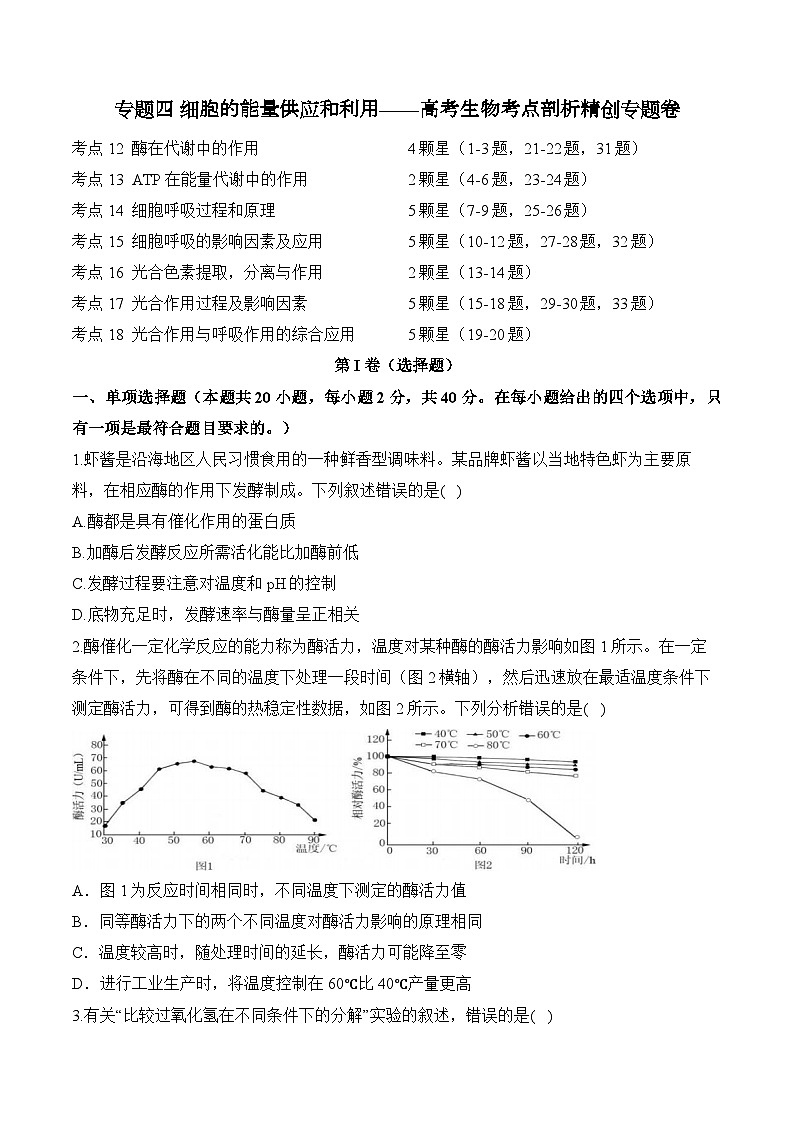 专题四 细胞的能量供应和利用(含解析)-【考点剖析】2025届高考生物一轮复习考点剖析第1页