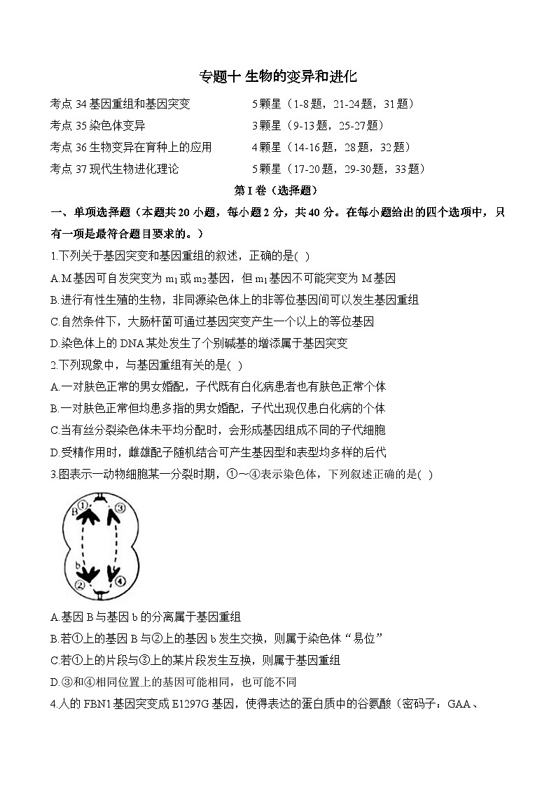 专题一0 生物的变异和进化(含解析)-【考点剖析】2025届高考生物一轮复习考点剖析01