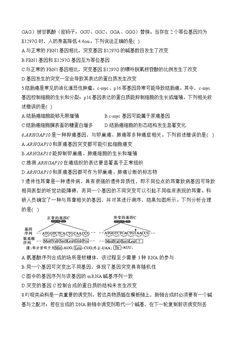 专题一0 生物的变异和进化(含解析)-【考点剖析】2025届高考生物一轮复习考点剖析02