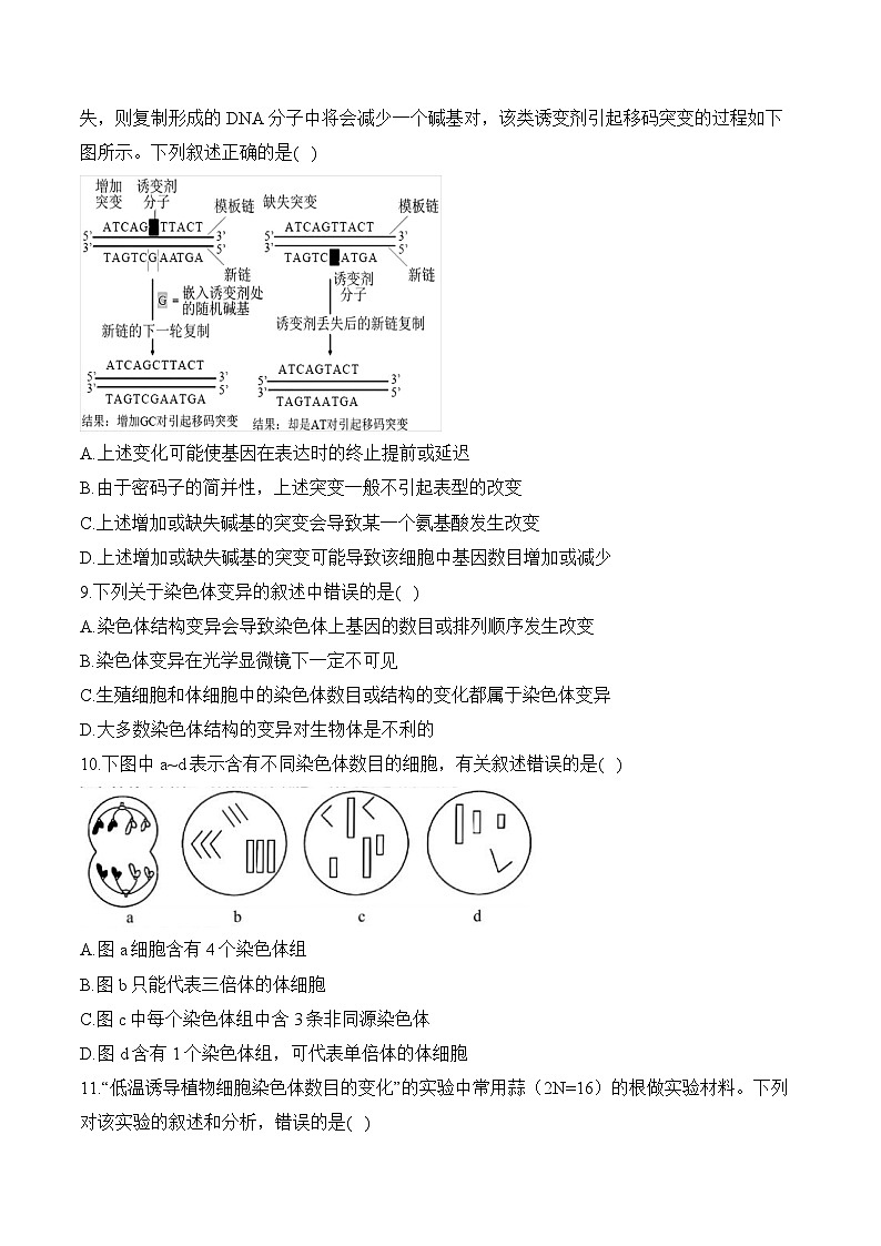 专题一0 生物的变异和进化(含解析)-【考点剖析】2025届高考生物一轮复习考点剖析03