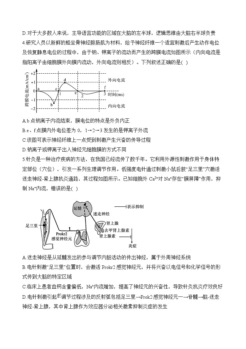 专题一0二 人类高等动物的神经调节、体液调节和免疫调节(含解析)-【考点剖析】2025届高考生物一轮复习考点剖析第2页