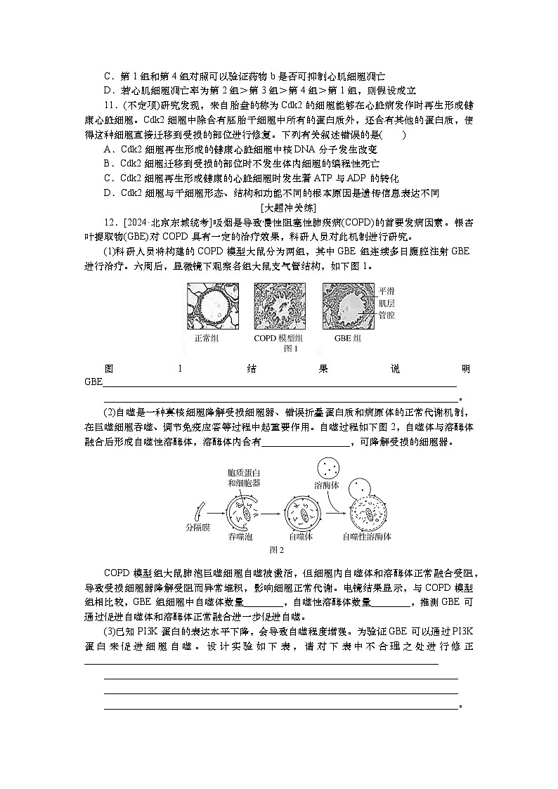 2025届高中生物一轮分层复习检测案15 细胞的分化、衰老和死亡(含解析)03