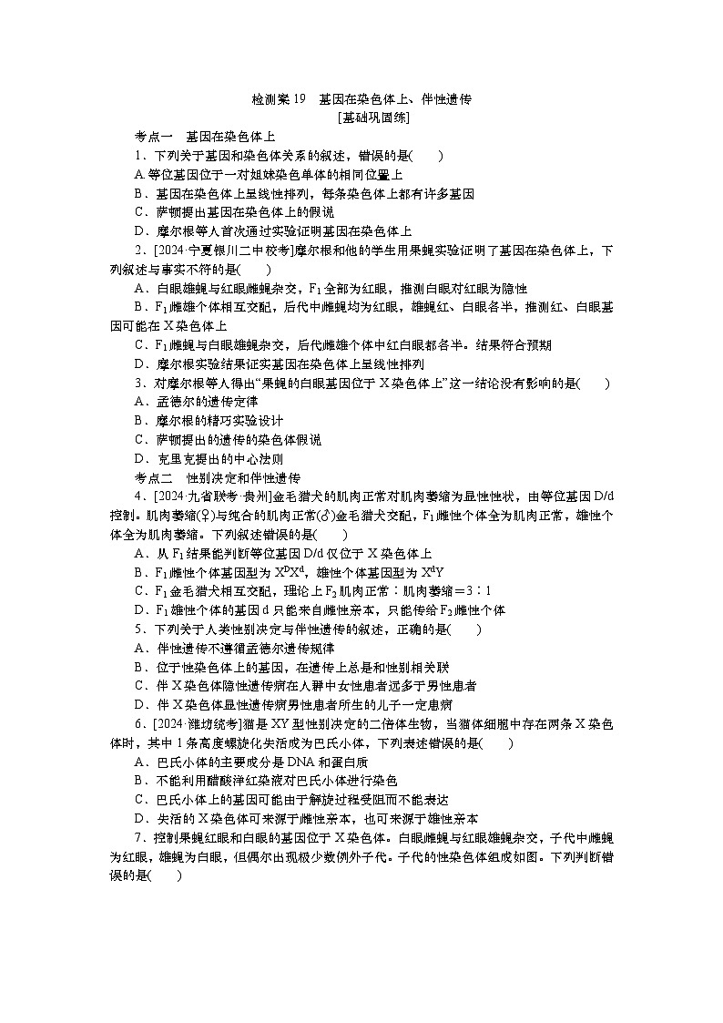 2025届高中生物一轮分层复习检测案19 基因在染色体上、伴性遗传(含解析)第1页