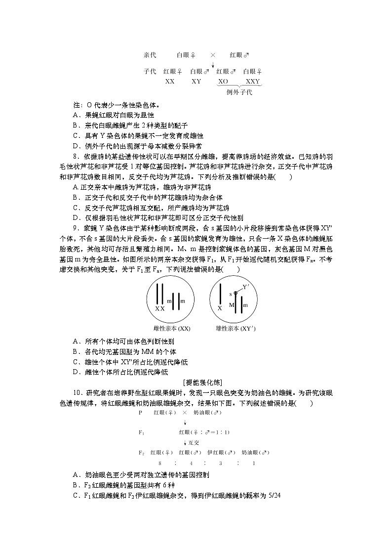 2025届高中生物一轮分层复习检测案19 基因在染色体上、伴性遗传(含解析)第2页
