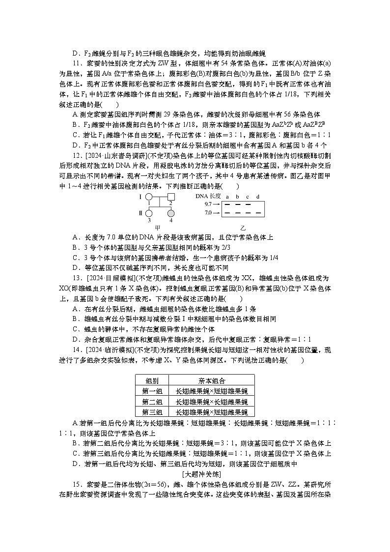 2025届高中生物一轮分层复习检测案19 基因在染色体上、伴性遗传(含解析)第3页