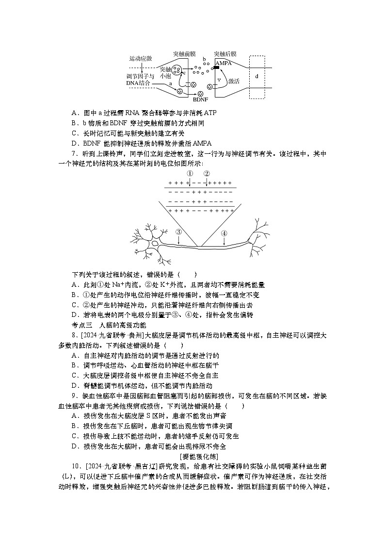 2025届高中生物一轮分层复习检测案28 神经调节(含解析)第2页