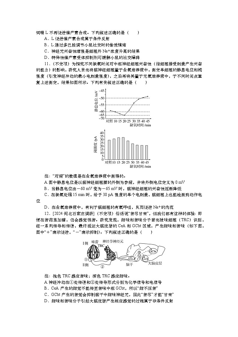 2025届高中生物一轮分层复习检测案28 神经调节(含解析)第3页