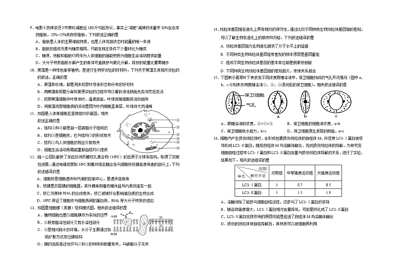 宁夏回族自治区银川一中2024-2025学年高三上学期第一次月考生物试卷(Word版附答案)02