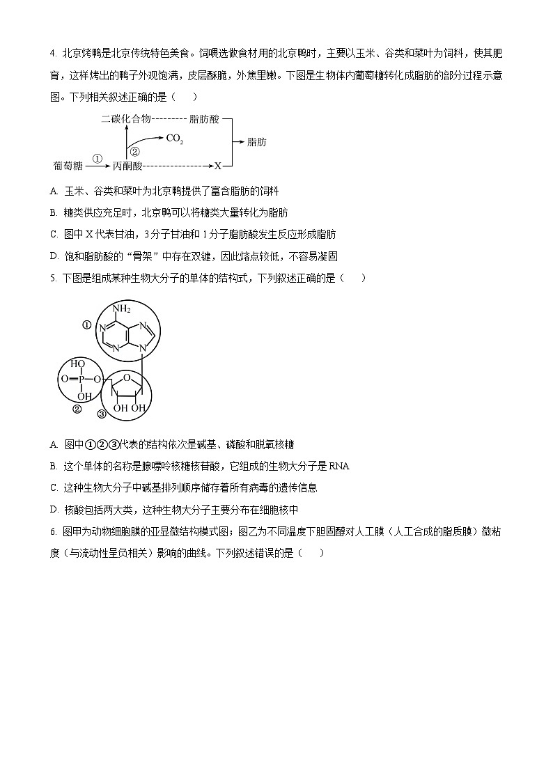 陕西省韩城市象山中学2024-2025学年高三上学期第一次月考生物试题(原卷版)第2页