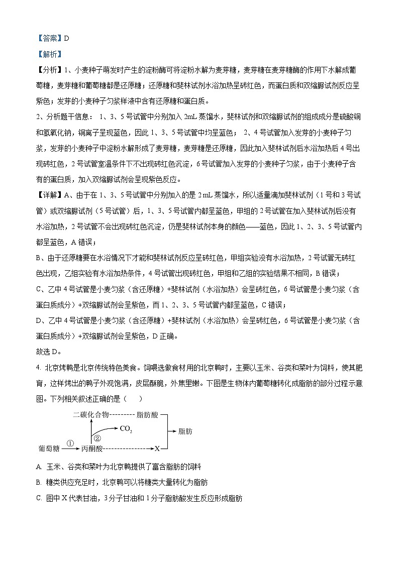 陕西省韩城市象山中学2024-2025学年高三上学期第一次月考生物试题(解析版)第3页