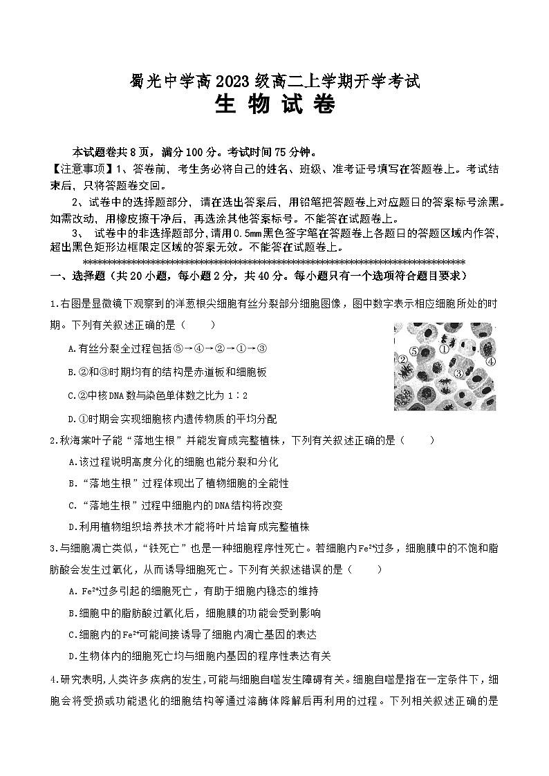 四川省自贡市蜀光中学2024-2025学年高二上学期开学考试生物试题01